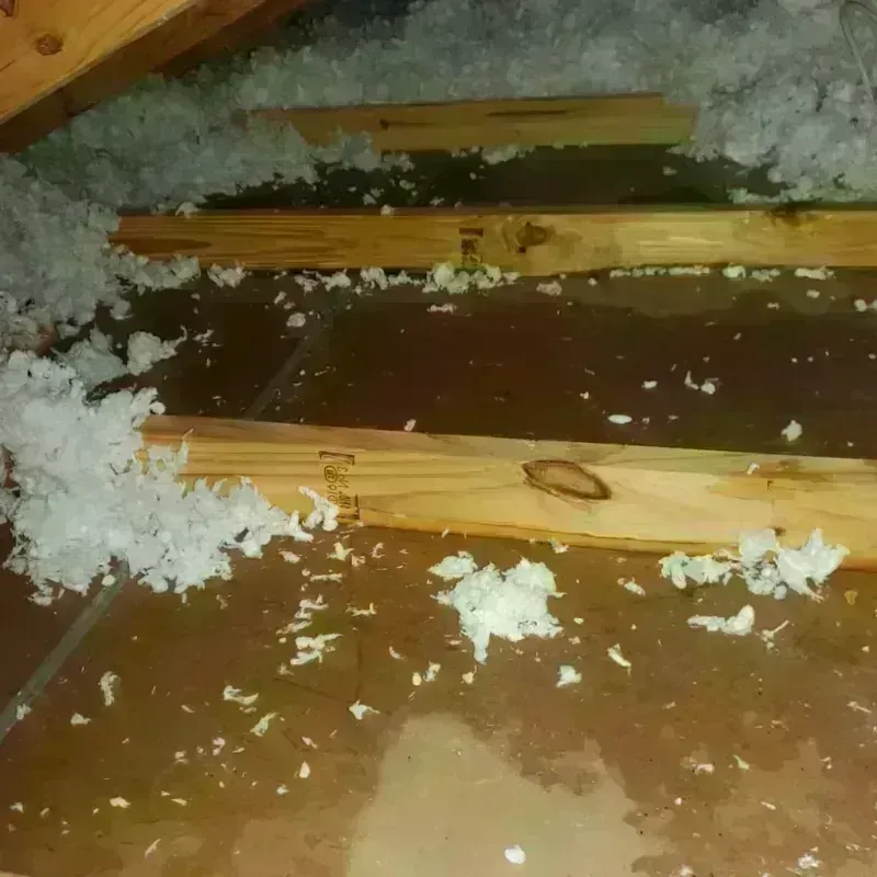 Attic Water Damage in Jones County, SD