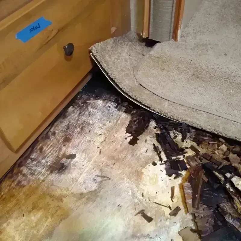 Best Wood Floor Water Damage Service in Jones County, SD